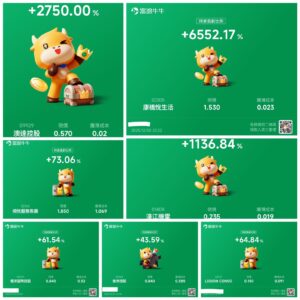 WhatsApp Image 2026-01-02 at 12.10.31 PM